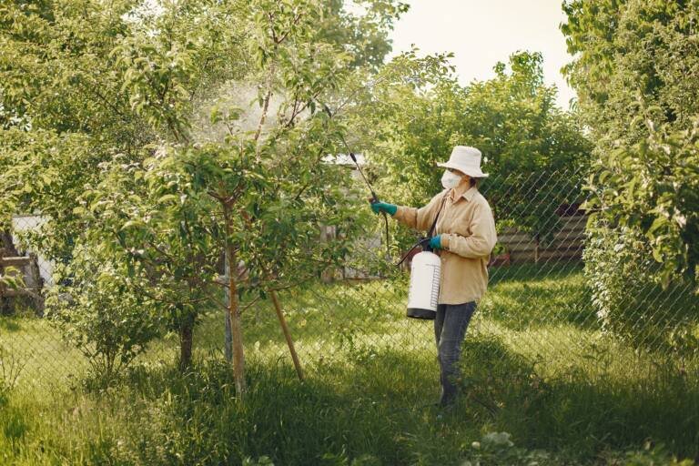 Pest control technician treating a residential yard in Vista CA