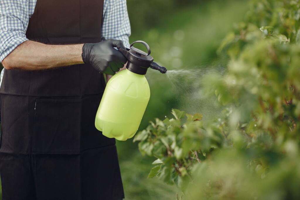 Pest control technician treating shrubs at a home